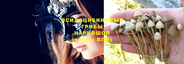гидропоника Алзамай