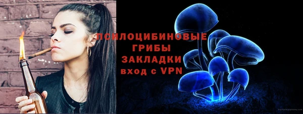 гидропоника Алзамай
