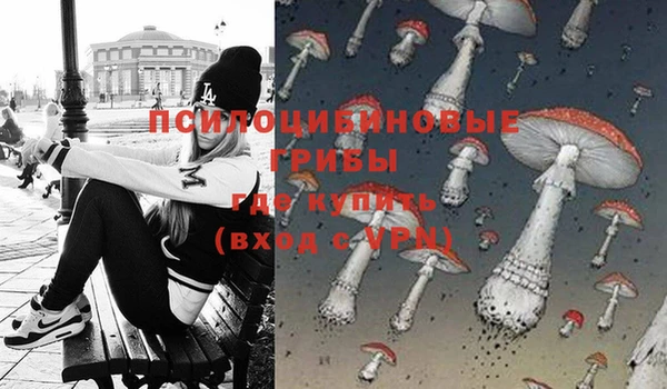 гидропоника Алзамай
