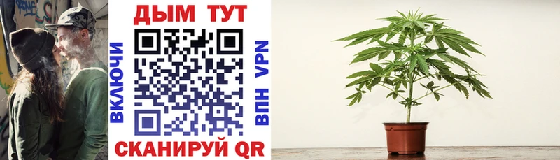 Конопля тримм  купить наркоту  Бавлы 